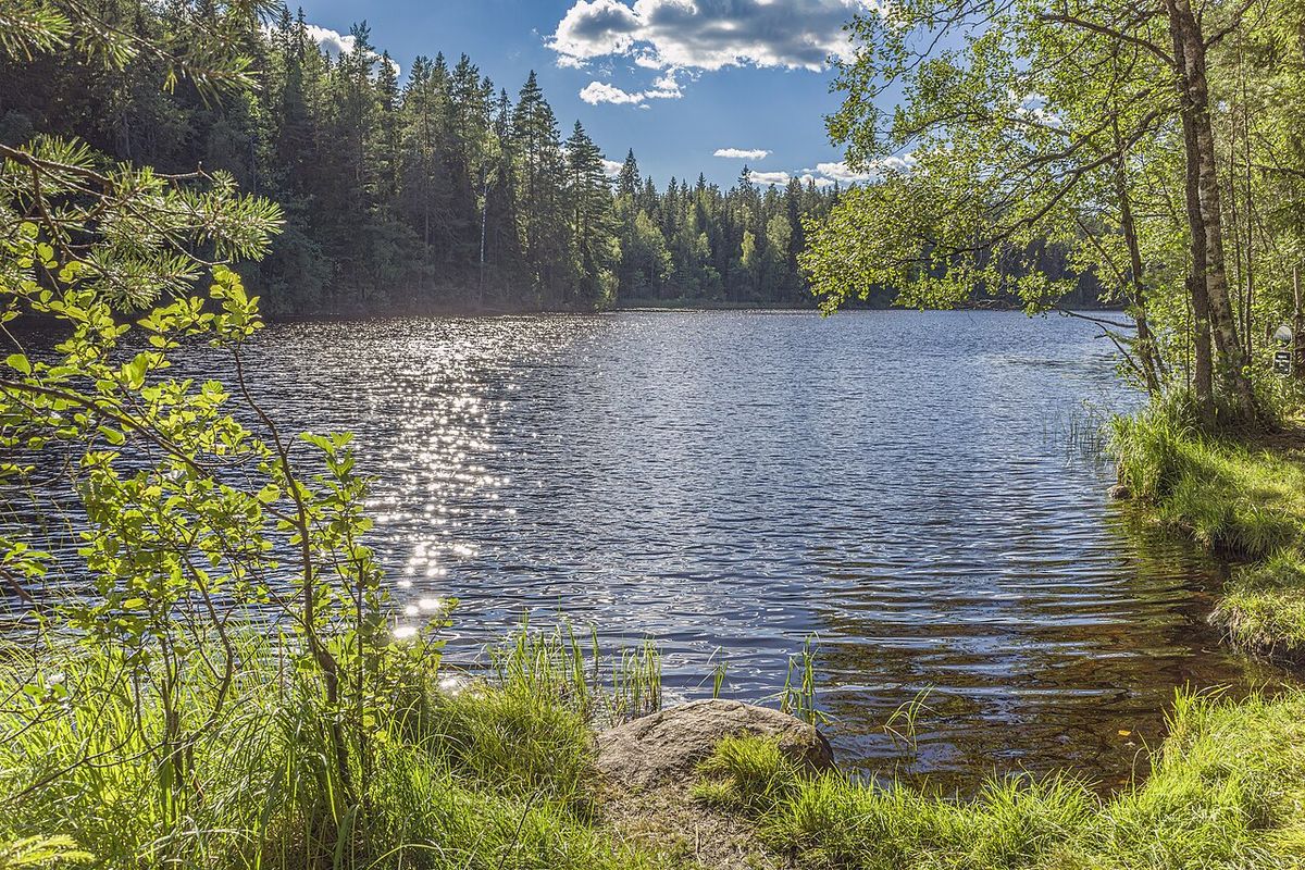 Iltaa järven rannalla.