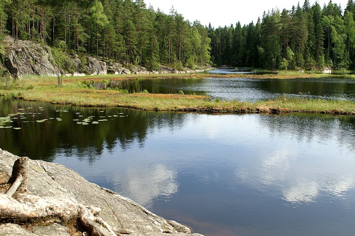 Kallioinen metsälampi Nuuksiossa
