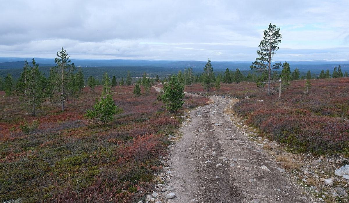 Reitti on suurimmaksi osaksi leveää ja selkeää polkua.
